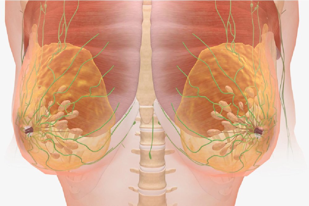 Gynecomastia operation price